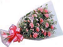 Bouquet of carnations (15 carnations)